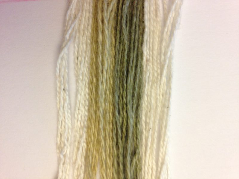 colorgrown cotton yarns before and after washing