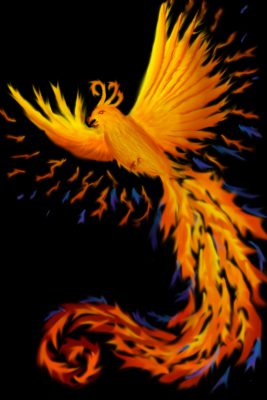 sketch of phoenix