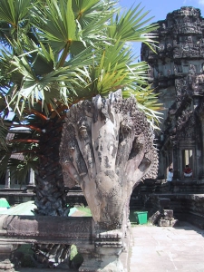 Angkor Wat Naga