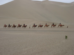 Mike and a Line of Dunhuang Camels
